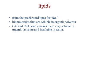 lipids