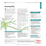 Neuropathy - Neuroap.com