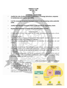 ENERGY FLOW WITHIN THE CELL (2) LEARNING OBJECTIVES