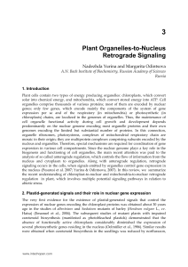 Plant Organelles-to-Nucleus Retrograde Signaling
