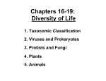 Chapters 16-19: Diversity of Life