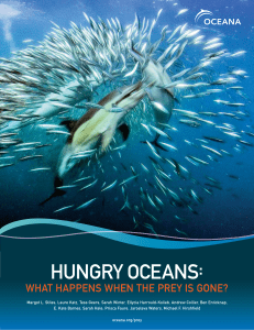 Hungry Oceans: What Happens When the Prey is Gone?
