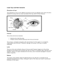 Laser Eye and Skin hazards