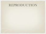 Reproduction - Sexual and Asexual