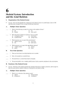 Skeletal System: Introduction and the Axial Skeleton