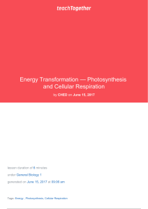 Energy Transformation — Photosynthesis and Cellular Respiration
