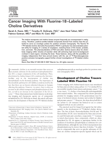 Cancer Imaging With Fluorine-18–Labeled Choline Derivatives