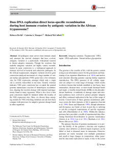 Does DNA replication direct locus-specific recombination during