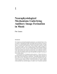 Neurophysiological Mechanisms Underlying Auditory Image