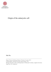 Origin of the eukaryotic cell