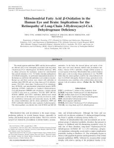 Mitochondrial Fatty Acid ß-Oxidation in the Human Eye and