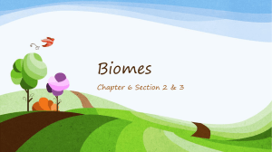 Biomes - Eagle Mountain