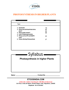 photosynthesis in higher plants
