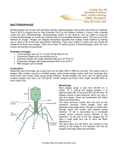 bacteriophage - Micro-Rao
