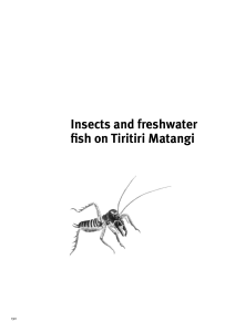 insects and freshwater fish