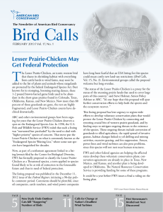 Bird Calls - American Bird Conservancy