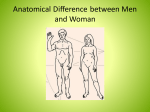Anatomical Difference between Men and Woman
