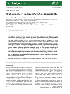 Metabolism of acyl‐lipids in Chlamydomonas reinhardtii