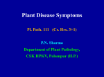 Plant Disease Symptoms – Hill Agric