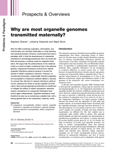 Why are most organelle genomes transmitted maternally?