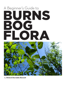 The Beginner`s Guide to Burns Bog Flora