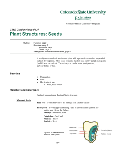 Plant Structures: Seeds - Colorado State University Extension