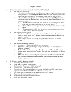 Kingdom Animalia 1. Several characteristics are used to classify