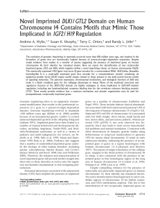 Novel Imprinted DLK1/GTL2 Domain on Human Chromosome 14