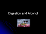 Digestion and Alcohol - Alberta Health Services