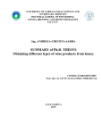 Abstract of PhD thesis