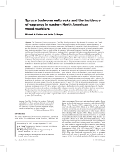 Spruce budworm outbreaks and the incidence of vagrancy in
