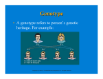 • A genotype refers to person`s genetic heritage. For example: