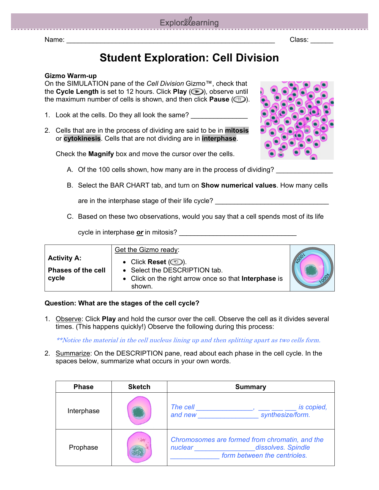 Student Exploration Dna Analysis Worksheet Answers ...