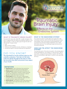 Traumatic Brain Injury: