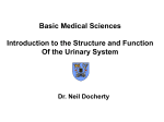 Basic Medical Sciences Introduction to the Structure and Function Of