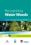 Recognising water weeds - Plant identification guide