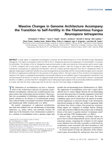 Massive Changes in Genome Architecture Accompany