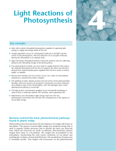 Light Reactions of Photosynthesis