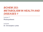 Bchem 253: Metabolism in health and diseases 1