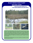 Blue Heron Sanctuary Nature Guide