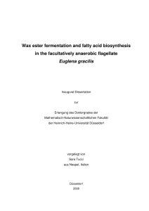 Wax ester fermentation and fatty acid biosynthesis in the facultatively