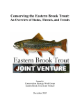 Eastern Brook Trout Conservation Strategy