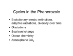 Cycles in the Phanerozoic