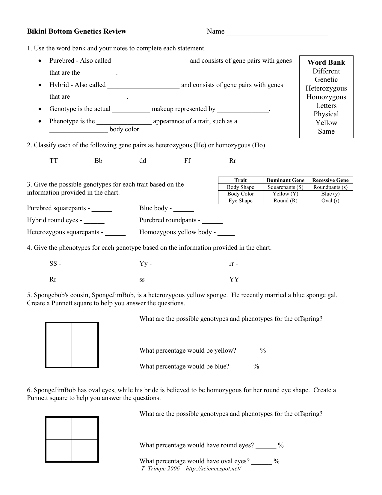 spongebob: Spongebob Genetics Quiz Answer Key