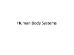 Human Body Systems