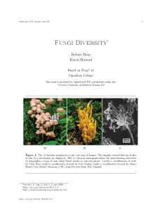 Fungi Diversity