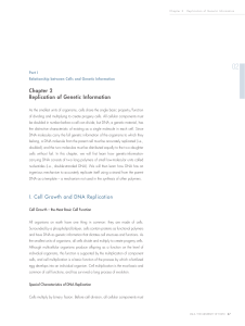 Chapter 2 Replication of Genetic Information