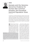 Genesis and the Genome: Genomics Evidence for Human