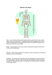 Alcohol in the Body