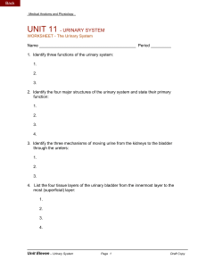 UNIT 11 - URINARY SYSTEM